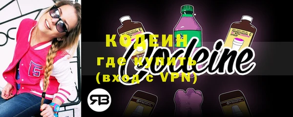 крисы Няндома