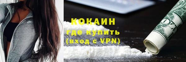 крисы Няндома