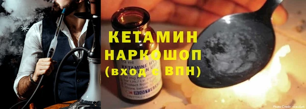 крисы Няндома