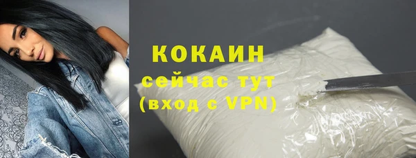 крисы Няндома