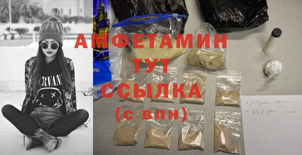 крисы Няндома