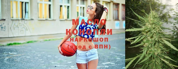 крисы Няндома