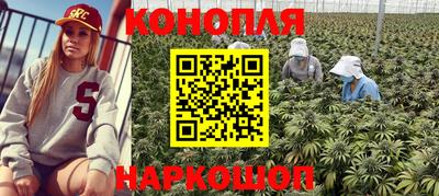 гидра Абакан
