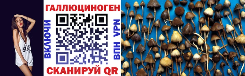 Галлюциногенные грибы мухоморы  Алушта 