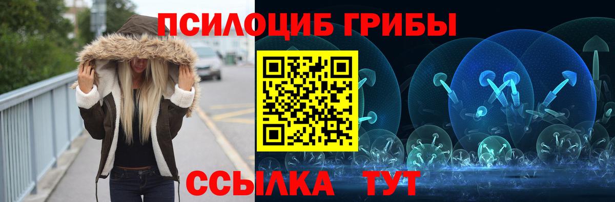 Псилоцибиновые грибы мицелий Алушта