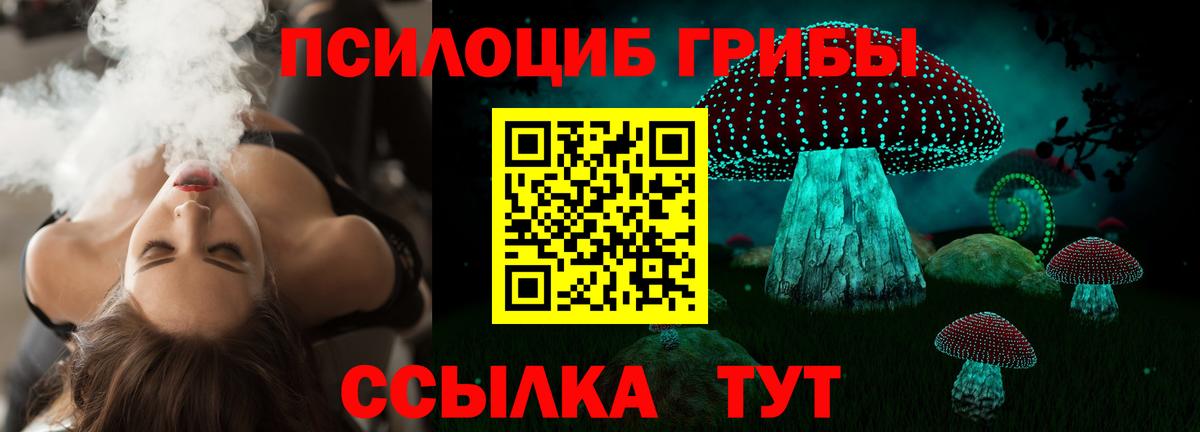 Псилоцибиновые грибы мухоморы Алушта